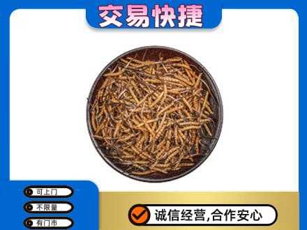 绵阳市游仙礼品回收虫草.jpg